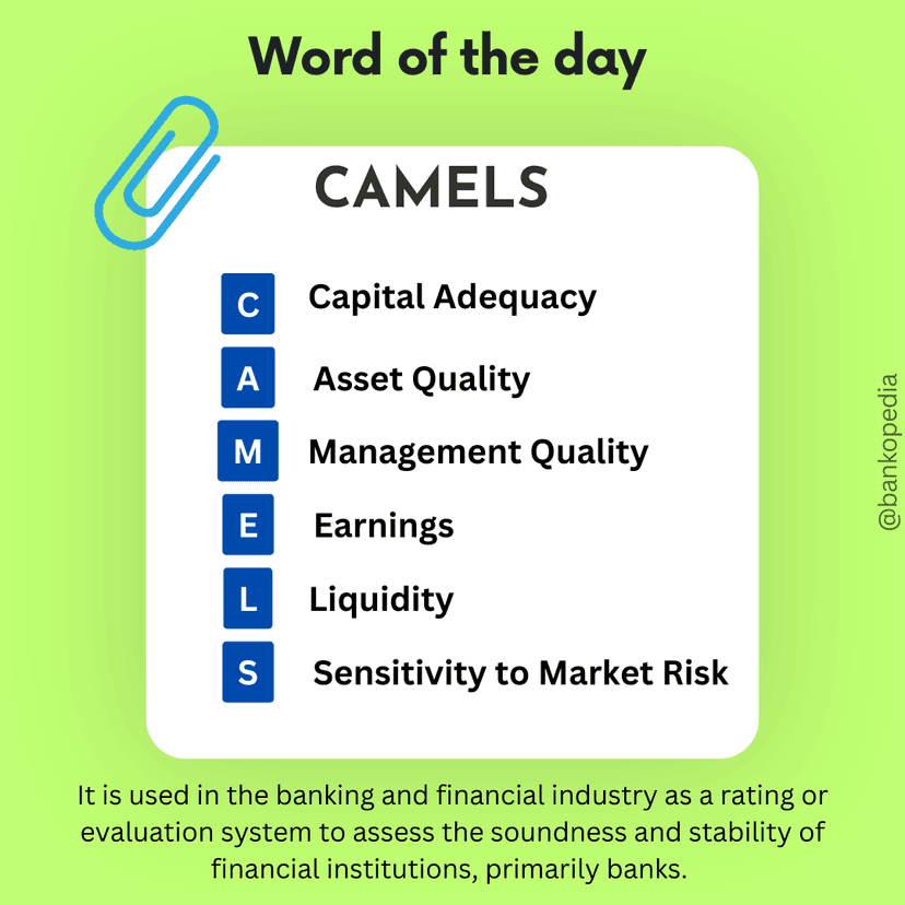 Understanding the CAMELS Rating System - Bankopedia